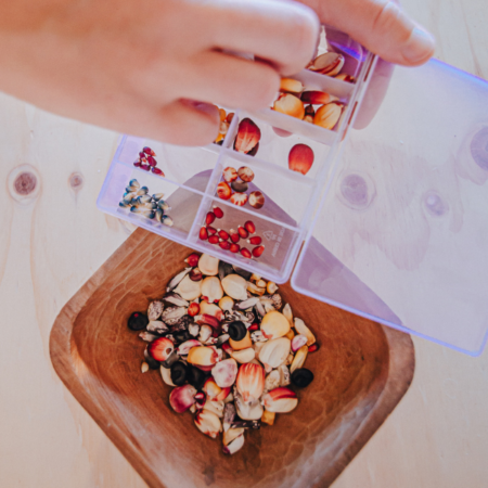 Globale Gartenpädagogik (2) -  Die Reise der Samen (29.04.2026)