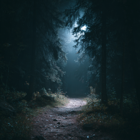 Online: Mrs Wildnis live - Naturwissen für alle-Geschichten und Fähigkeiten der Tiere der Nacht (01.06.2026)