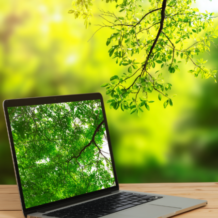 Laubbäume bestimmen im Frühjahr (17.03.2026)