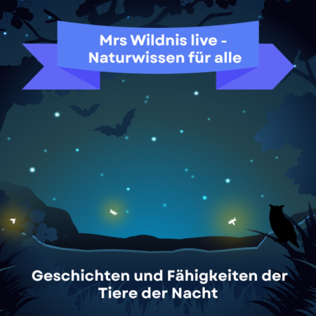 Online: Mrs Wildnis live - Naturwissen für alle-Geschichten und Fähigkeiten der Tiere der Nacht (02.02.2026)