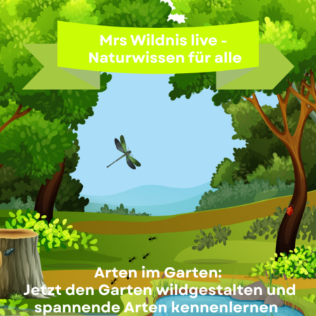 Online: Mrs Wildnis live – Naturwissen für alle- Arten im Garten: Jetzt den Garten wildgestalten und spannende Arten kennenlernen (02.03.2026)