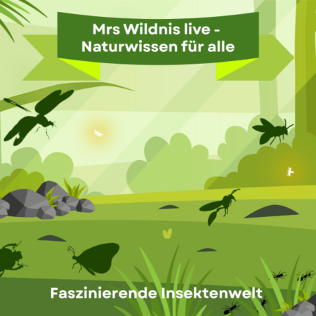 Online: Mrs Wildnis live – Naturwissen für alle-Faszinierende Insektenwelt (13.04.2026)