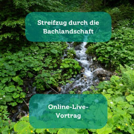 Online: Streifzug durch die Bachlandschaft (14.01.2025)