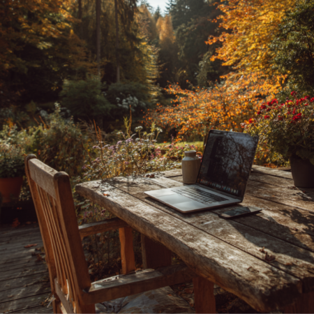 Bäume bestimmen im Herbst (22.09.2026)