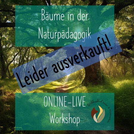 Online: Bäume in der Naturpädagogik (22.10.2024)