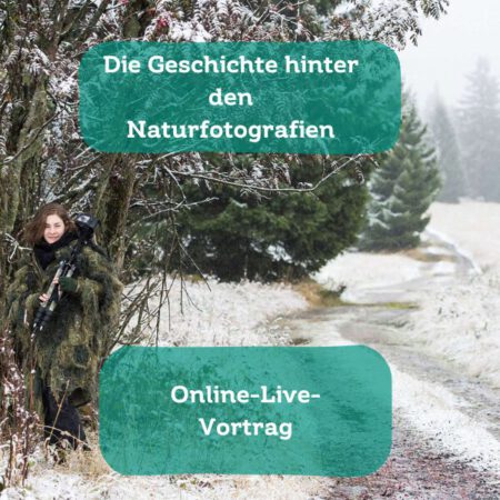 Online: Die Geschichte hinter den Naturfotografien - ein Blick hinter meine Kamera (25. Februar 2025)