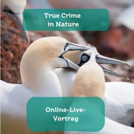 Online: True Crime in Nature (11.03.2025)