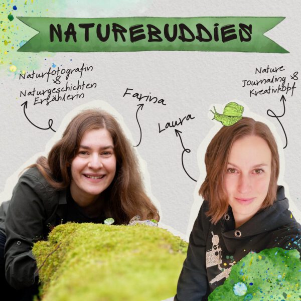 Online: NatureBuddies - August: Pilz-Party (14.8.2025)