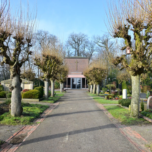 Delmenhorst: „Natur und Friedhof" (19.7.2025) – Bild 2