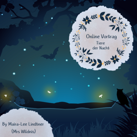 Online: Tiere der Nacht (03.11.2025)