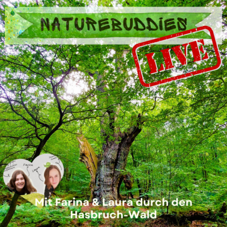Vor-Ort: NatureBuddies LIVE – Mit Farina & Laura durch den Hasbruch-Wald (06.09.2025)