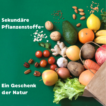 Online: Sekundäre Pflanzenstoffe – Ein Geschenk der Natur (15.10.2025)