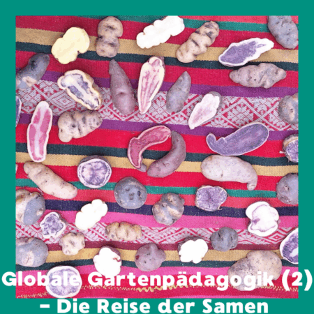 Online: Globale Gartenpädagogik (2) -  Die Reise der Samen (11.02.2026)