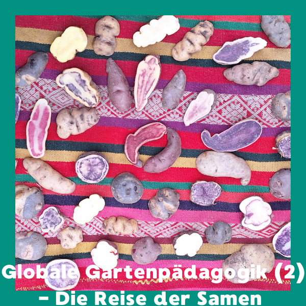 Online: Globale Gartenpädagogik (2) - Die Reise der Samen (11.02.2026)