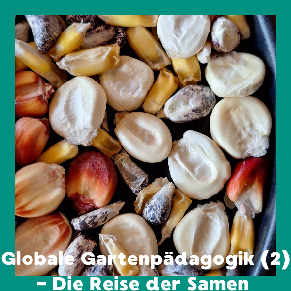 Online: Globale Gartenpädagogik (2) - Die Reise der Samen (11.02.2026) – Bild 3