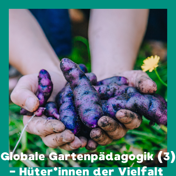 Online: Globale Gartenpädagogik (3) - Hüter*innen der Vielfalt (25.02.2026)