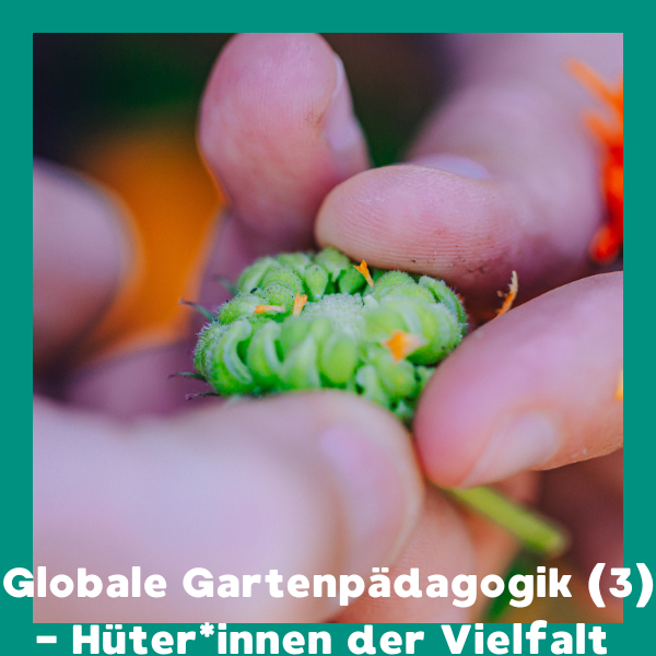 Online: Globale Gartenpädagogik (3) - Hüter*innen der Vielfalt (25.02.2026) – Bild 3