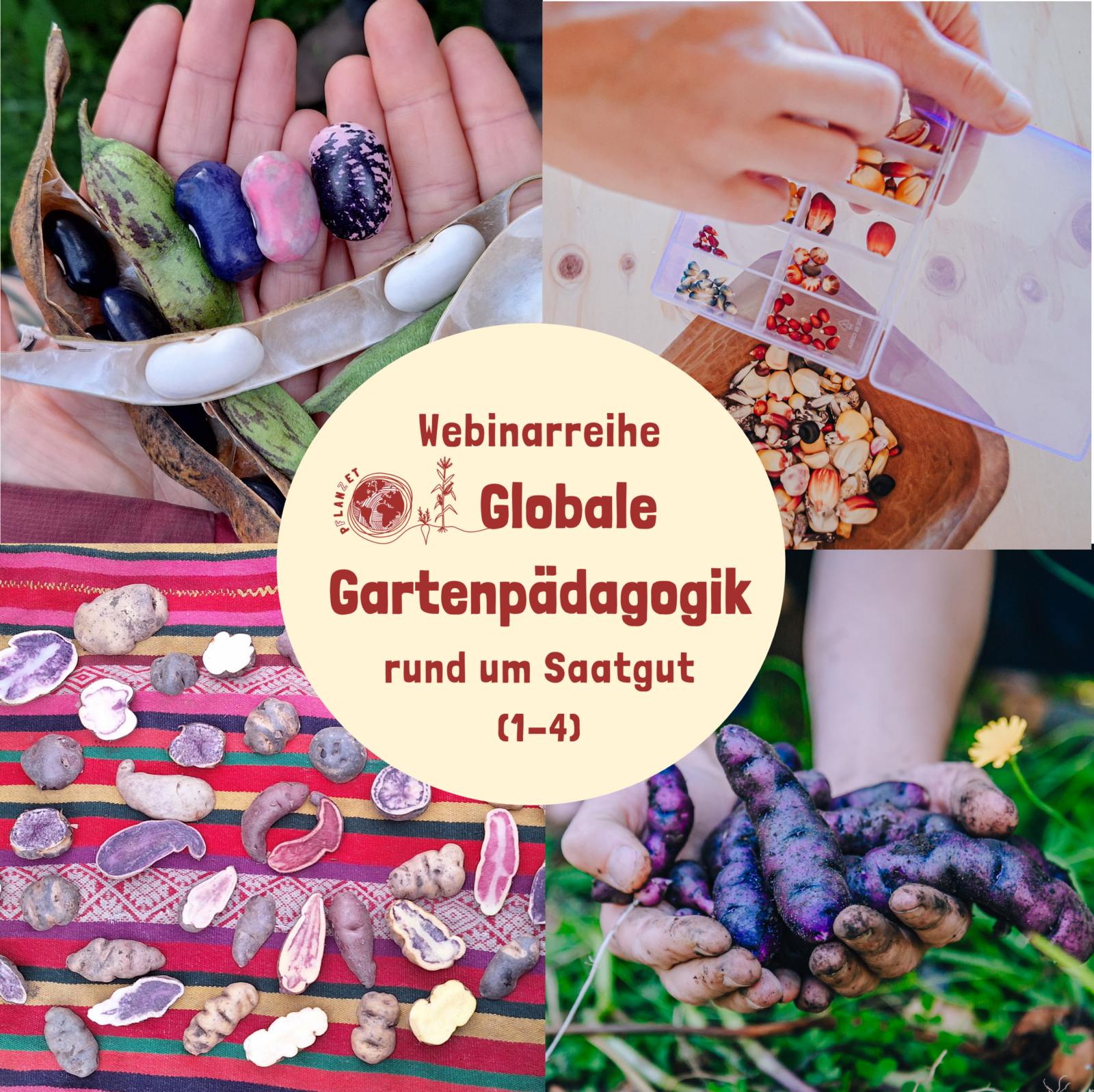 Webinarreihe- Globale Gartenpädagogik rund um Saatgut (Mittwochs ab dem 09.09.2026)