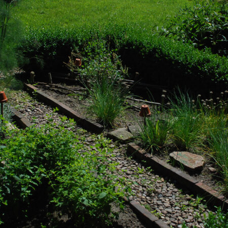Kochkurs: Küchenkräuter frisch aus dem Garten in die Küche mit der regioVHS (21.05.2026)