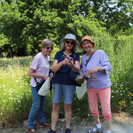 „Kleine Insektenrunde“ durch den Insektenschutz-Schaugarten mit anschließendem Picknick (30.08.2026)