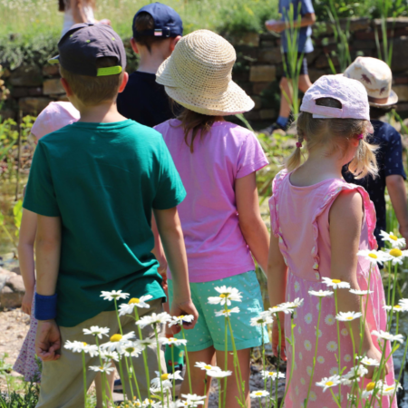 „Kleine Insektenrunde“ durch den Insektenschutz-Schaugarten (04.07.2026)