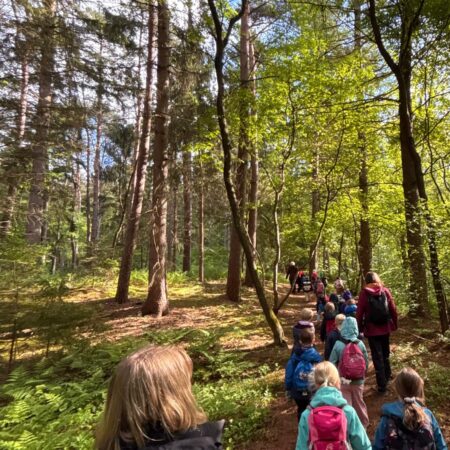 Naturerfahrungen gestalten und anleiten (30.09.2026)