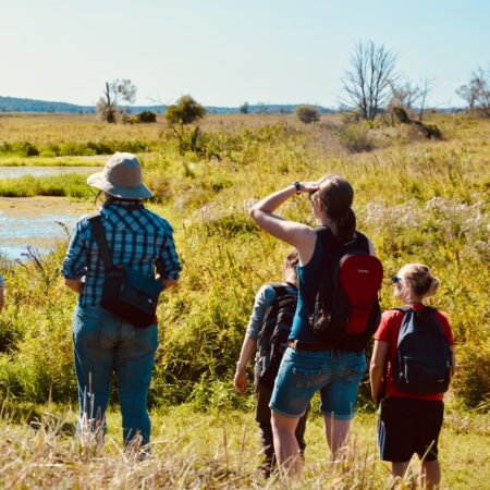Naturerfahrungen gestalten und anleiten (30.09.2026)
