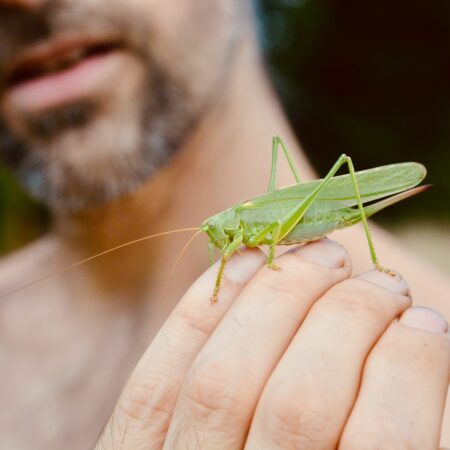 Reihe: Naturerlebnisse für alle Sinne gestalten (ab 16.09.2026)