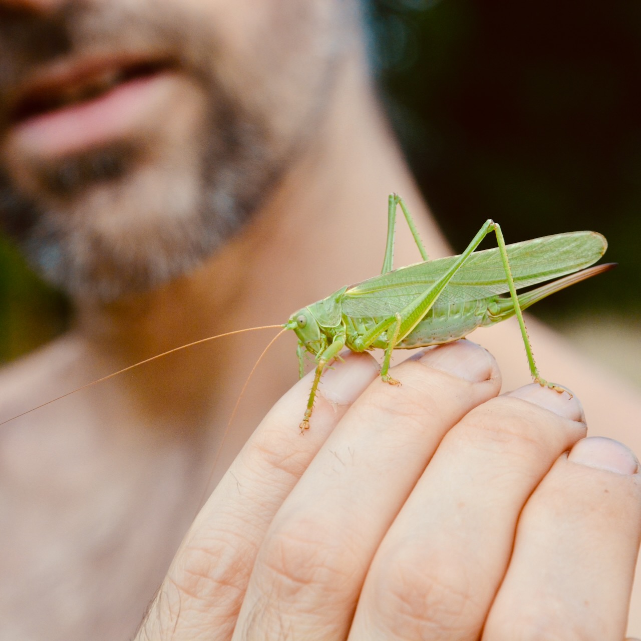 Reihe: Naturerlebnisse für alle Sinne gestalten (ab 16.09.2026)