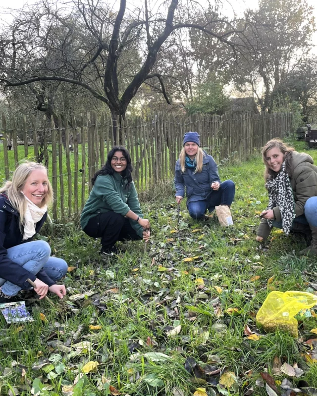 🌍✨ Klimaworkshop im RUZ Hollen

Zweimal jährlich führen wir mit unserem gesamten Team im RUZ Hollen einen Klimaworkshop durch, um uns selbst über aktuelle Entwicklungen im Bereich Klimaschutz zu informieren. 🌐

Dieses Mal haben wir nicht nur wertvolle Einblicke in die aktuelle Klimabilanz erhalten, sondern auch umfassende Informationen zum Thema Entsiegelung von Flächen gewonnen. 🌱💧

Nach den spannenden Vorträgen haben wir uns aktiv an der Schaffung von Lebensräumen beteiligt: Ausgerüstet mit Gummistiefeln haben wir auf unserem Gelände Frühblüher gepflanzt. 🌷🌼

Wir freuen uns jetzt schon auf das kommende Frühjahr, wenn Krokusse, Muscari, Blausternchen, Narzissen und Tulpen blühen werden! Diese Frühblüher sind nicht nur eine Freude für uns Menschen, sondern spielen auch eine entscheidende Rolle für die Insektenpopulationen, indem sie in der frühen Saison wichtige Nahrungsquellen bieten. 🐝💚

Ein dickes Dankeschön geht an Olaf Schachtschneider vom Pflanzenhof in Aschenstedt @pflanzenhof_schachtschneider für die Unterstützung der Pflanzaktion mit vielen tollen Frühblühern. 🌺💯

Gemeinsam setzen wir ein Zeichen für Nachhaltigkeit! 😊

#ruzhollen #insektenschutzakademie #insa #umweltzentrumhollen