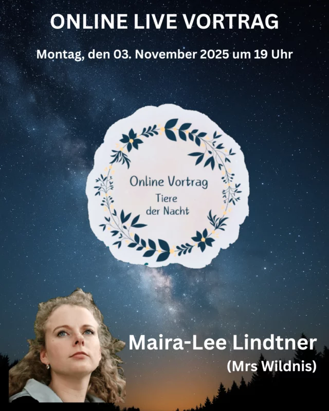 Online-Live-Vortrag: „Tiere der Nacht“ mit Maira-Lee Lindtner am 03. November 2025 um 19 Uhr 🦉💻

In ihrem Online Vortrag nimmt dich Maira-Lee Lindtner (Mrs Wildnis) mit auf eine spannende Reise in diese verborgene Welt. Du erfährst, wie nachtaktive Tiere ihre Sinne an die Dunkelheit 😎 angepasst haben, welche besonderen Fähigkeiten sie im Verborgenen einsetzen und warum die Nacht alles andere als ruhig ist. 🌛

Lass dich in die Welt der Dunkelheit entführen, entdecke erstaunliche Strategien und Fähigkeiten und erlebe, wie vielfältig und lebendig das Leben in der Nacht ist. ✨

Dieser Vortrag richtet sich an alle Naturinteressierten, Tierfreunde und neugierige Nachteulen. 🌳🧡🦉

Maira-Lee Lindtner ist Biologin mit dem Schwerpunkt Biodiversität und Ökologie und begeistert seit Jahren Menschen für die Natur. Unter dem Namen Mrs Wildnis nimmt sie Naturinteressierte mit hinaus in die faszinierende Welt von Tieren, Pflanzen und Lebensräumen. Auf Social Media und in ihrem erfolgreichen Podcast vermittelt sie Wissen, das inspiriert und Neugierde weckt. 🎤

Der Vortrag dauert von 19 Uhr bis 20.30 Uhr und kostet 10 Euro. 🕖

Anmeldungen bitte über unsere Website www.ruzhollen.de unter „Workshop-Programm“, per Email an online@ruzhollen.de oder telefonisch vormittags unter 04223 / 95 0 56. 📞

Nach deiner Anmeldung erhältst du einen Tag vor der Veranstaltung einen Link für einen Teams-Call. 📧

#RUZHollen @Mrs.Wildnis #Umweltzentrumhollen