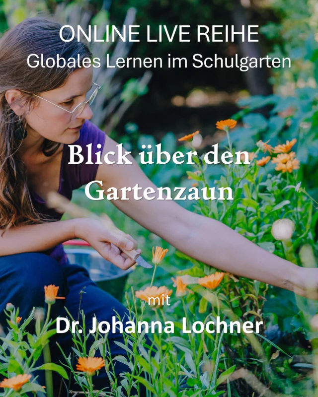 Online-live Reihe: Blick über den Gartenzaun – Globales Lernen im Schulgarten 🌽 mit Dr. Johanna Lochner 

An fünf Donnerstagen (13.11.2025, 20.11.2025, 27.11.2025, 04.12.2025 & 11.12.2025) jeweils von 19:00 bis 20:30 Uhr tauchen wir mit Johanna Lochner ein in die faszinierende Welt des Schulgartens und entdecken, wie er als Lernort für globales Verständnis und kulturellen Austausch dienen kann! 🌎🍉

Diese fünfteilige, interaktive Webinarreihe bietet spannende Einblicke und praktische Methoden, um Globales Lernen im Schulgarten zu fördern. 💻

Dr. Johanna Lochner ( @pflanzet.bildung ) ist freie Bildungsarbeiterin, Dozentin und Autorin im Bereich BNE mit dem Schwerpunkt auf Nutzpflanzen, Schulgärten und globalen Perspektiven und sie wohnt in Chile. 🌎

Die Reihe kann nur als Paket gebucht werden und kostet 159,- Euro.

Da die Plätze begrenzt sind, empfehlen wir eine frühzeitige Anmeldung. 📋

Anmeldungen bitte über unsere Website www.ruzhollen.de unter „Workshop-Programm“, per Email an online@ruzhollen.de oder telefonisch vormittags unter 04223 / 95 0 56. 📞

Nach deiner Anmeldung erhältst du rechtzeitig vor dem ersten Termin einen Link für einen Video-Call. 📧

Wenn ihr Fragen oder Anregungen zu der Reihe habt, könnt ihr uns auch direkt kontaktieren, die Kontaktdaten findet ihr unter www.pflanzet.de oder www.ruzhollen.de.

#RUZHollen #Umweltzentrumhollen #pflanzet
